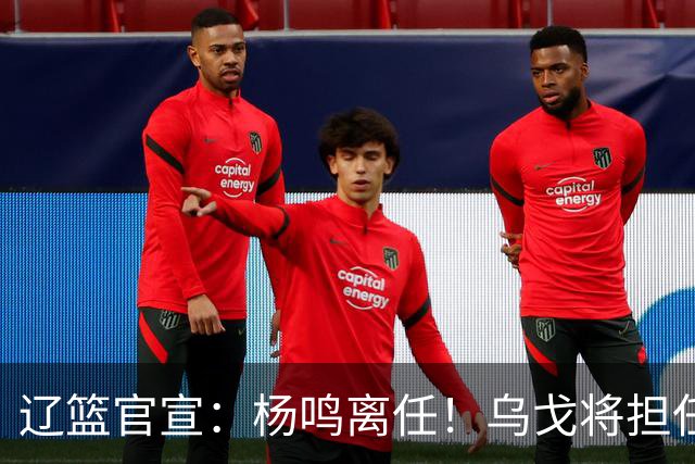辽篮官宣：杨鸣离任！乌戈将担任辽宁男篮主帅